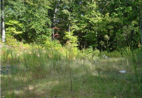 Lot 114 Hwy 161 Lot PID 121253
